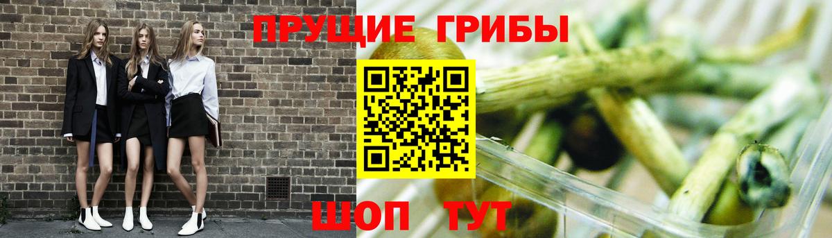 Галлюциногенные грибы MAGIC MUSHROOMS Октябрьский
